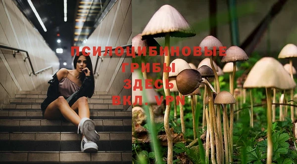 MESCALINE Снежинск