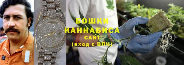 гашик Слюдянка
