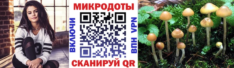Псилоцибиновые грибы Psilocybe как найти закладки Отрадное
