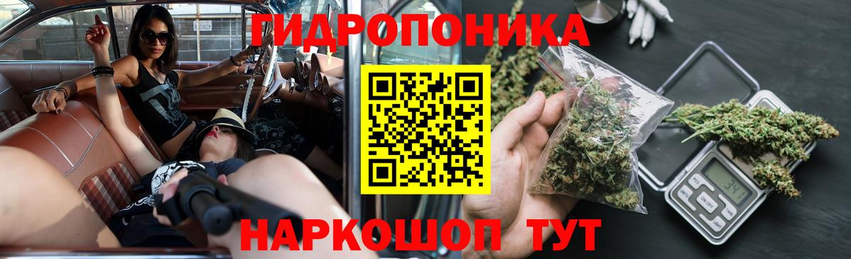 Каннабис ГИДРОПОН Отрадное